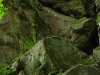 12web1