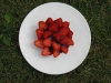 17_web1