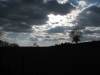 k_img_3509