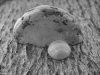 a08