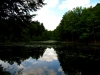 kimg_4540