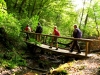wander_img_5837