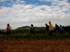 wander_img_5912