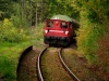 wander_img_5931