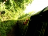 wander_img_5944
