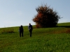 wander_img_6010