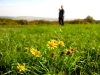 wander_img_6014