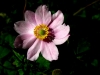wander_img_6042
