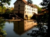 wander_img_6098