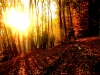 kimg_6703