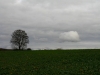 kimg_7389