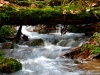 kimg_8122