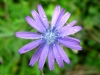 kimg_8698