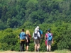 010dscn6633