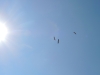 014dscn6633