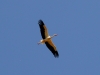 020dscn6633