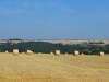 02dscn6633