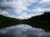 Weiher am Wegesrand