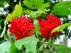ews_wanderwoche-2021_04