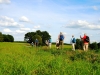 ews_wanderwoche-2021_07