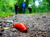 ews_wanderwoche-2021_39