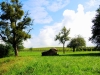 ews_wanderwoche-2021_46