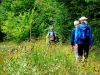 ews_wanderwoche-2021_47
