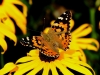 ews_wanderwoche-2021_48