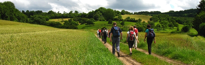 Abgesagt! EWS Wanderung "Zum Wildfreigehege nach Kurhof"
