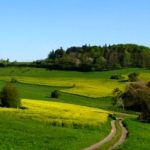 Single-Wanderung "Schlemmen & Wandern im Bliesgau" (Halbmarathon)
