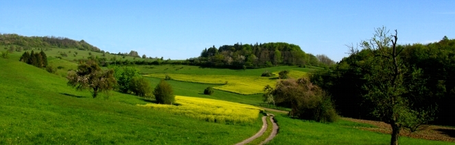 Single-Wanderung "Schlemmen & Wandern im Bliesgau" (Halbmarathon)