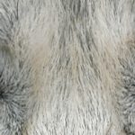 Genehmigt! EWS-Single-Wanderung "Schau mir in die Augen..."