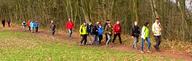 Anspruchsvolle Single-Wanderung „Marpingen - Natur Pur!“