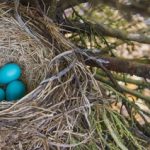 EWS Single-Wanderung "Die Nix-Für-Weicheier-Tour 2023"