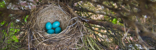 EWS Single-Wanderung "Die Nix-Für-Weicheier-Tour 2023"