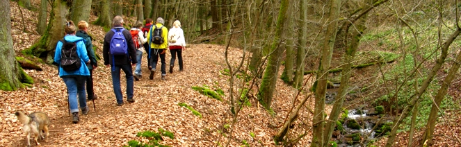 Go-to-coffee-Wanderung zum "Bayrisch Zell"