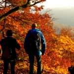 Single-Wanderung "Zum Wahrzeichen des Saarlandes"