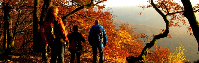 Single-Wanderung "Zum Wahrzeichen des Saarlandes"
