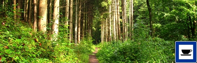Go-to-coffee-Wanderung "Stille Waldwege bei Riegelsberg"