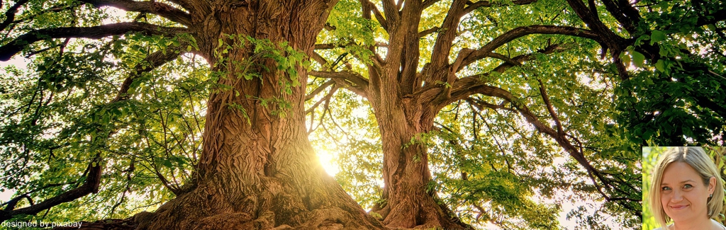EWS Wandern mit Elementen des Waldbadens im "Urwald"