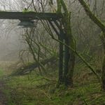 Single-Wanderung „Unterwegs in anderen Welten“