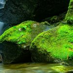 EWS Single-Wanderung „Steinreich durch die wildromantische Pfalz"