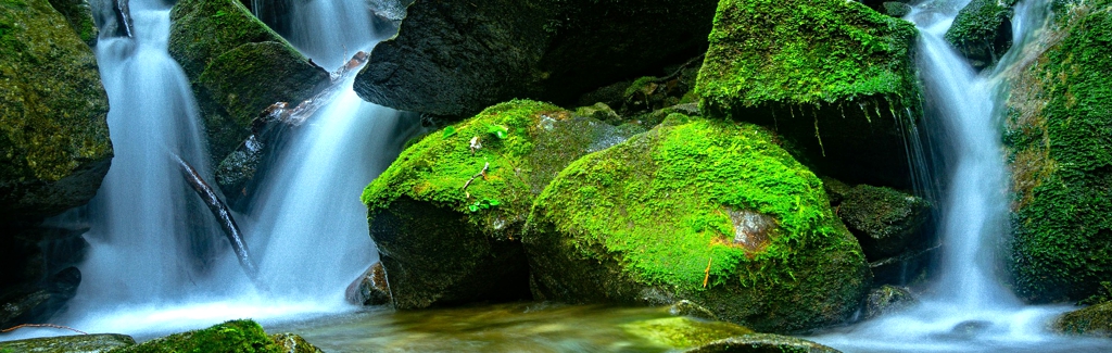 EWS Single-Wanderung „Steinreich durch die wildromantische Pfalz"