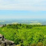 Single-Wanderung "Gipfelglück auf dem höchsten Berg der Pfalz"