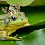EWS Wanderung "Wenn alle Brünnlein fließen..."