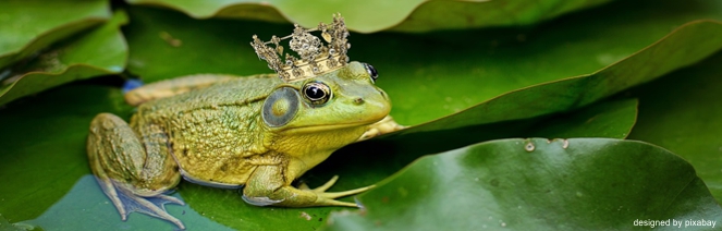 EWS Wanderung "Wenn alle Brünnlein fließen..."