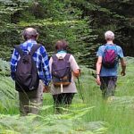 EWS Single-Wanderung "Zum höchst gelegenen Dorf des Saarlandes"