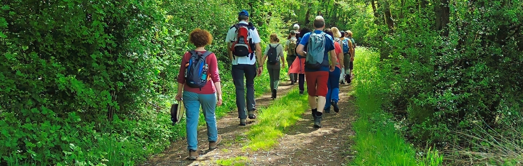 EWS Wanderung “Waldpartie am Dösterhof”