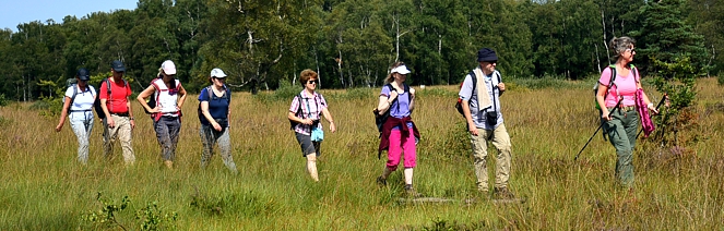 wander gruppe saarland