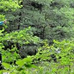Exkursion in den nördlichen “Urwald” bei Saarbrücken